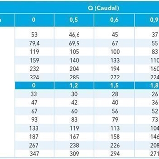 Bomba sumergible Lowara 2GS11 - Imagen 2